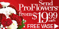 Christmas Flowers from $19.99 at ProFlowers.com�