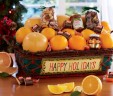Happy Holidays Gift Baskets