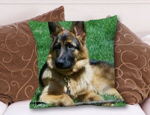 Picture Perfect Throw Pillow