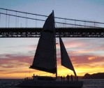 Scenic Cruises