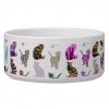 Pet & Animal Gifts