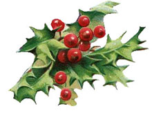 Vintage Christmas Holly Clipart