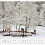 Featured Holiday Card