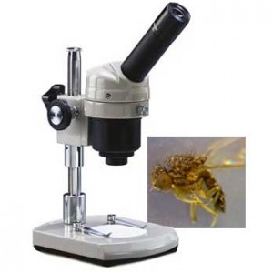 MW1-L1 Single 20x Magnification Microscope