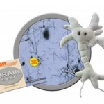 GIANTmicrobes® Brain Cell