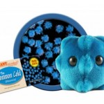 GIANTmicrobes® Common Cold