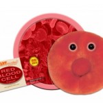 GIANTmicrobes® Red Blood Cell