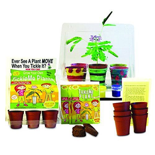 TickleMe Plant Greenhouse educational Christmas gifts for cool kids with Paint set