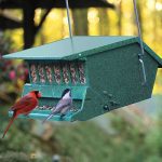 BIRDS choice™ Squirrel-Proof Bird Feeder