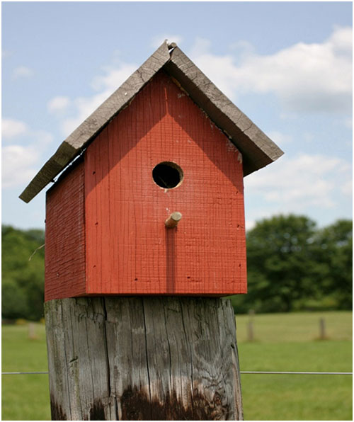 Bird House