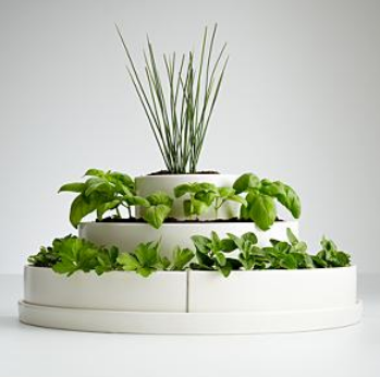 herbplanter2