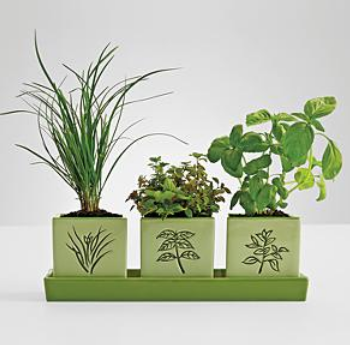 herbplanters