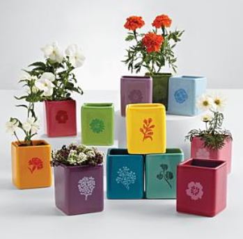 seedplanters