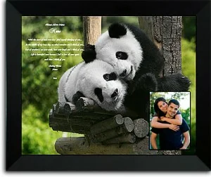 huggingpandas