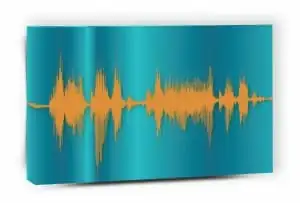 Voice Art Canvas