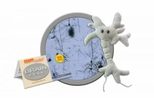GIANTmicrobes® Brain Cell