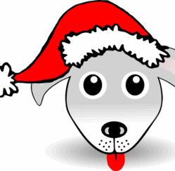 Don’t forget Your Pets this Christmas