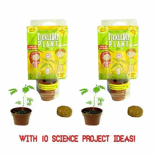 TickleMe Plant Party Favors (2) per bundle