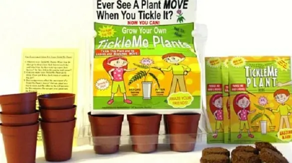 tickle me plant Christmas gifts for kids