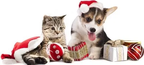 Christmas gifts wish lists for pets