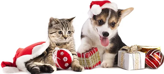 cat dog christmas gifts for your pets