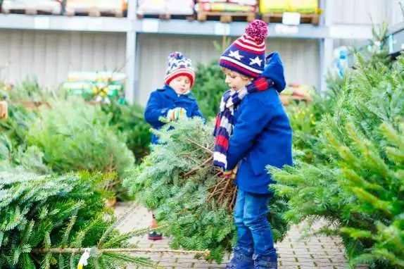 boys decorating christmas tree