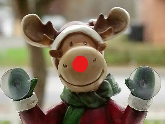 rudolph-reindeer_ink_li