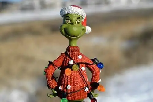 grinch on your christmas gifts list