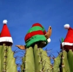 Keep Calm and Carry On with Christmas in July