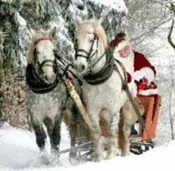 Sophisticated Gifts for Him